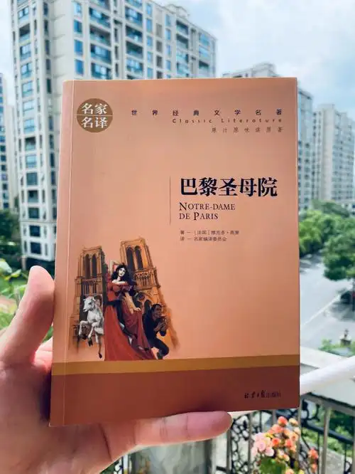 2021读书no32巴黎圣母院
