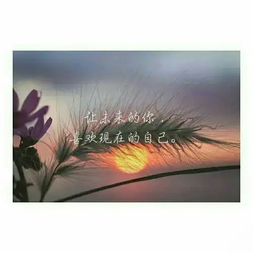 短句  精致唯美的句子