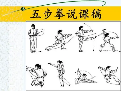 五步拳说课稿ppt