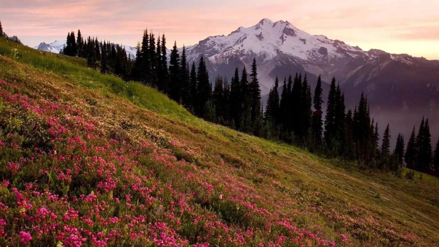 首页 桌面壁纸 清新护眼大自然风景图片电脑壁纸上一张下一张查看原图