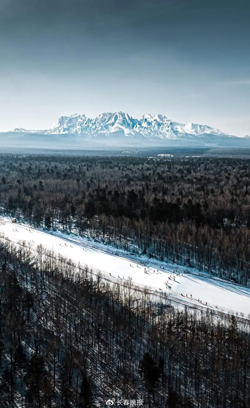 在长白山感受林海雪原的魅力 图片来源:视觉中国