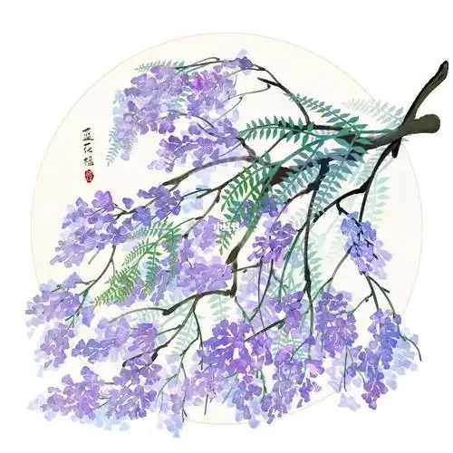 花卉打卡蓝花楹