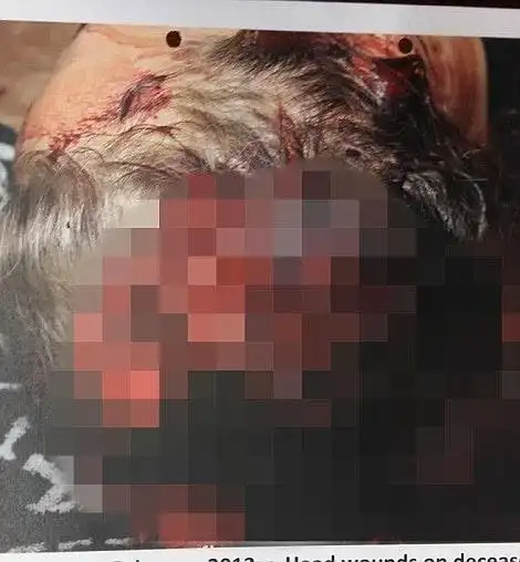 慎入!刀锋战士女友死亡照曝光 一枪爆头满脸是血