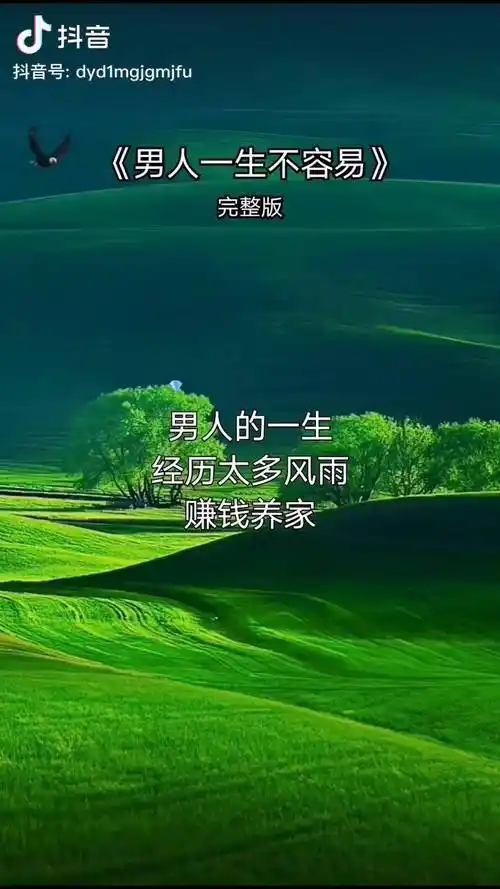 男人一生不容易一生经历了太多风雨时刻提醒自己要努力只因不想让人