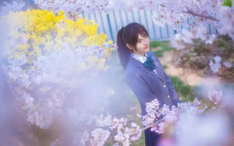 樱花下小清新美女写真图片桌面壁纸高清大图预览2560x1600_美女壁纸