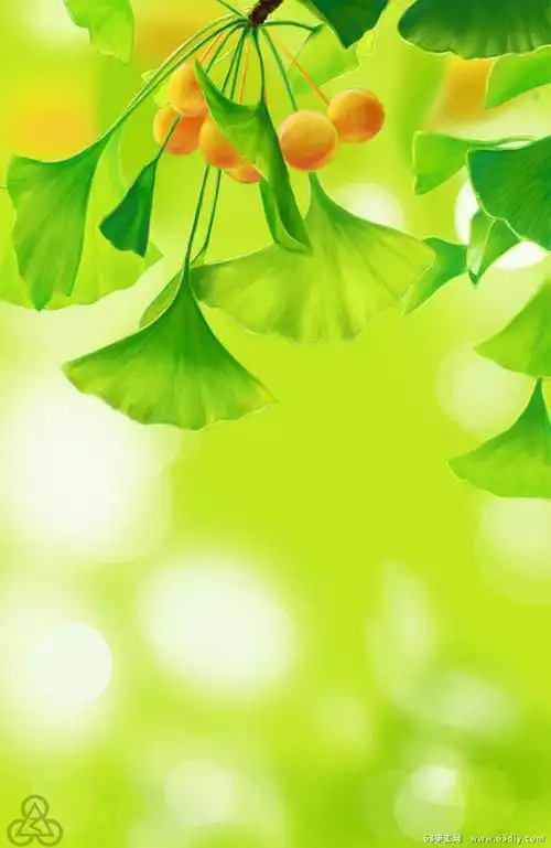 彩铅手绘小清新银杏叶 - 堆糖,美图壁纸兴趣社区