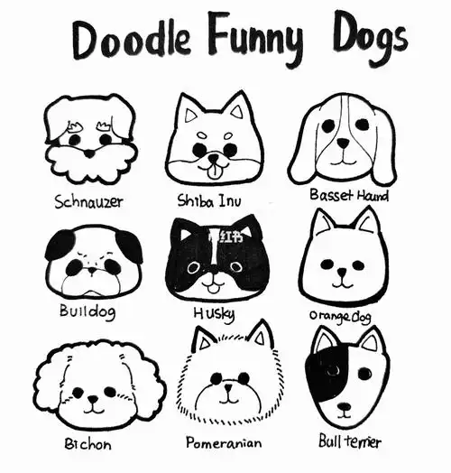 橘子零基础手绘|可爱的小狗|简笔画|涂鸦