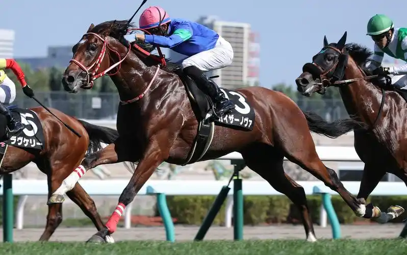 满乐时产驹2020胜利合集