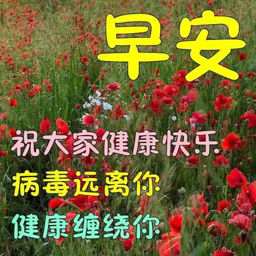 原创8张最新最全早上好问候语温馨动态图片大全春天早上好问候祝福语