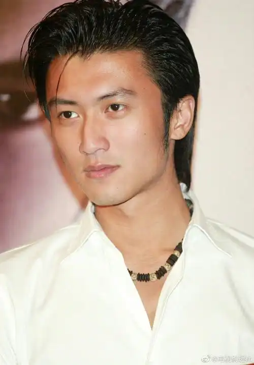 谢霆锋有多帅#年轻时候的谢霆锋有多帅?