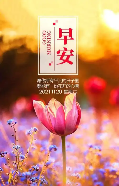 冬天漂亮早上好图片正能量带字-早安心语