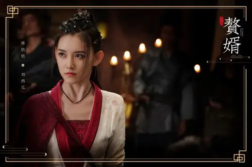 《赘婿》收官刘西瓜泪洒霖安,蒋依依发长文告别刘西瓜