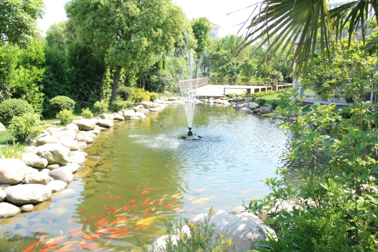 漂亮的鱼池part1:池塘建造说明1,池塘建造设计规划池塘是让人身心放松