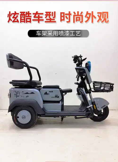 电动三轮车风驰电动车成人接送孩子家用迷你型休闲代步车电瓶车