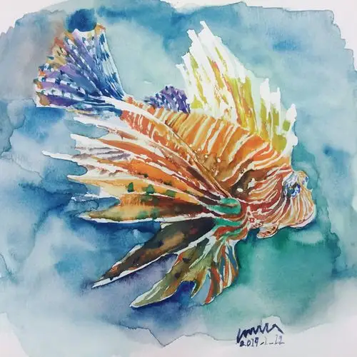 久违的水彩画 狮子鱼