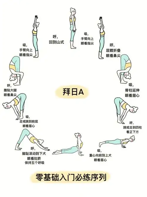 瑜伽排课哈他瑜伽零基础瑜伽必练入门排课