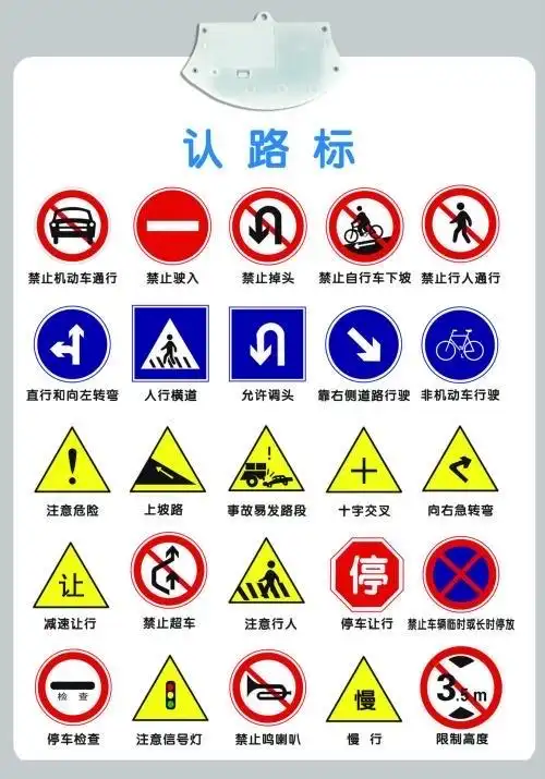 大班礼仪《认识交通标志》