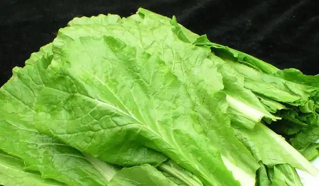 叶类蔬菜有些娇气,如何才能保存它们的新鲜感呢?