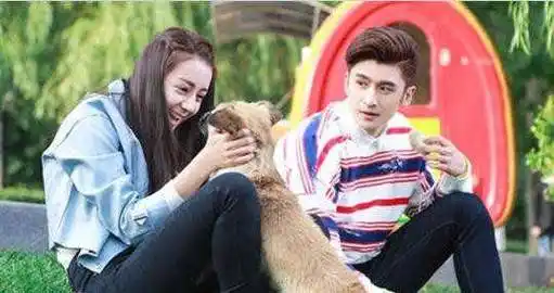 迪丽热巴跟张云龙感觉是一对新鲜的cp,而俩人跟高伟光在电影《傲娇与