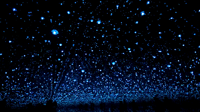 400_225gif 动态图 动图