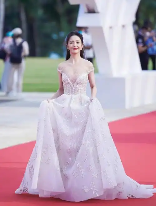 佟丽娅深v透视裙造型,雍容华贵,美艳动人!