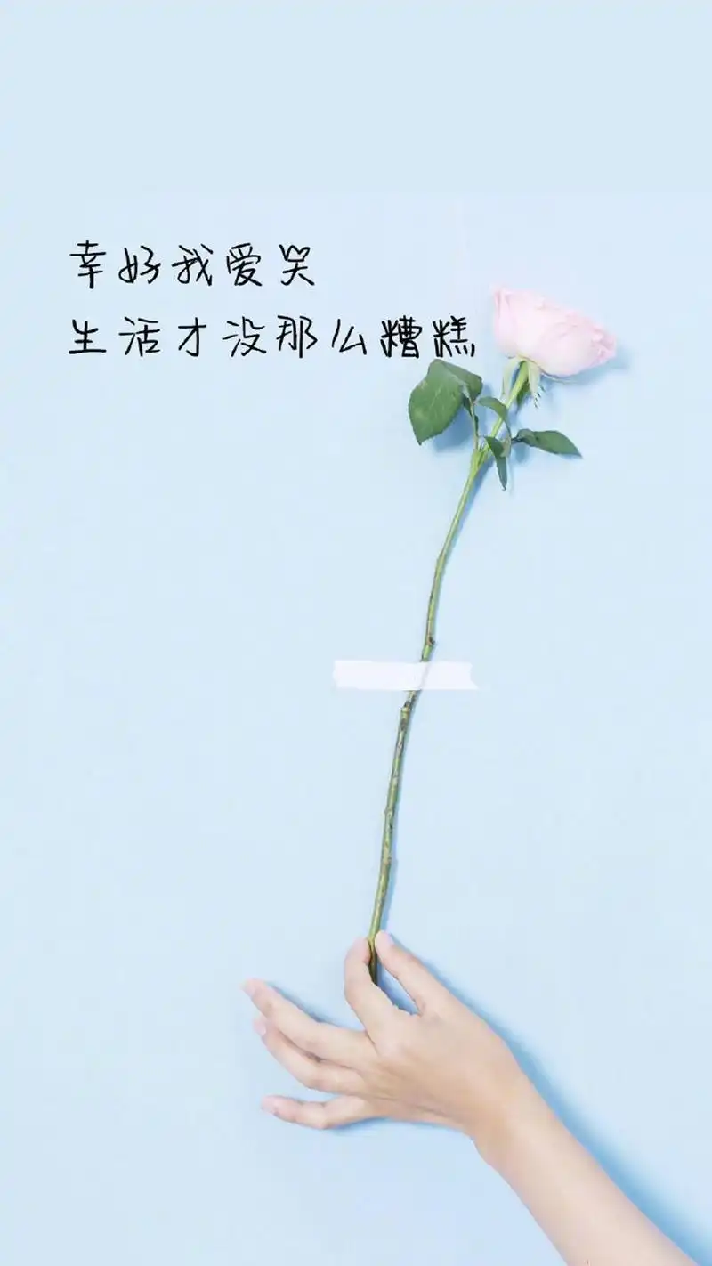 唯美情感语录图片手机壁纸