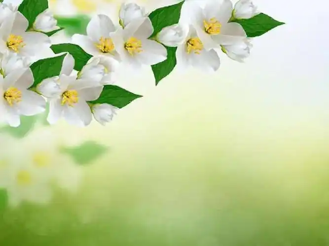 四月春天唯美诗意句子,情感文艺干净高级文案