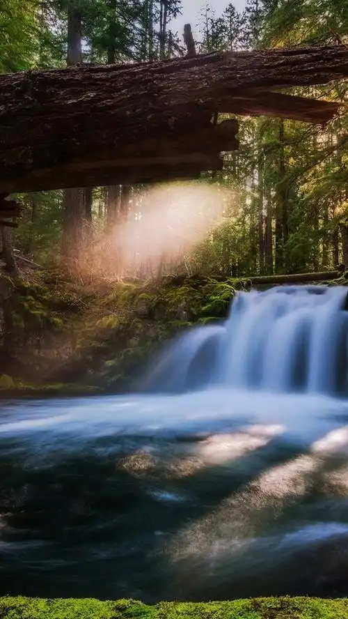 壁纸 俄勒冈州,白马瀑布,瀑布,溪,树木,美国 1920x1200 hd 高清壁纸