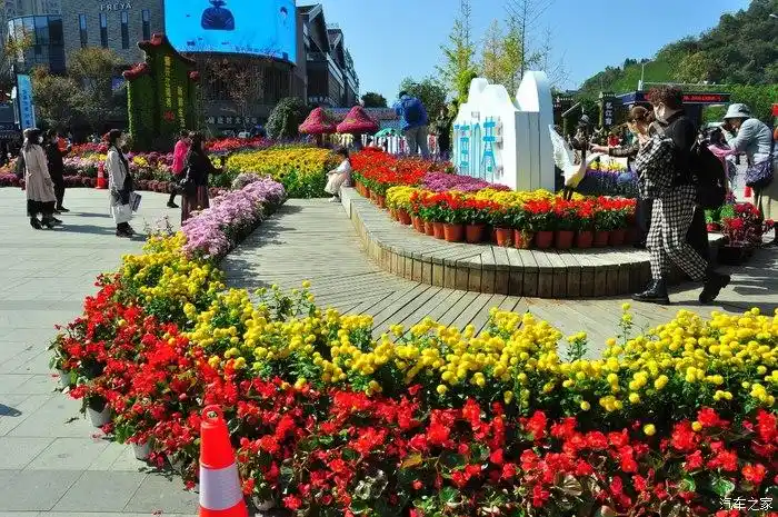 【你好2021】自驾游看花展