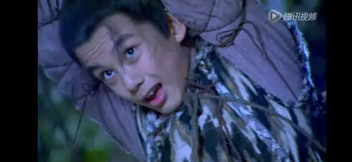 吴磊 神雕侠侣 杨过