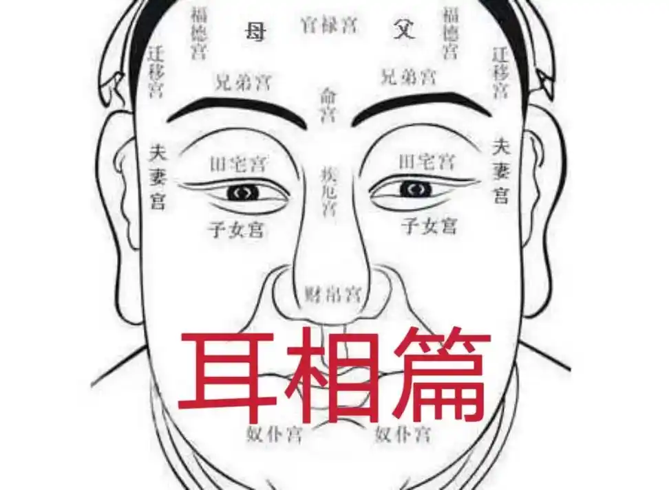耳相篇.双耳以金星,木星来表示,左耳为金星,右耳为木星; 好 - 抖音