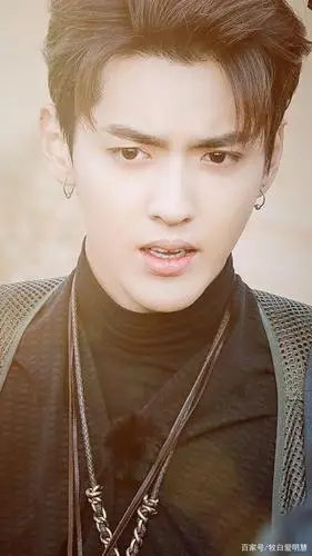 吴亦凡是全世界最帅的