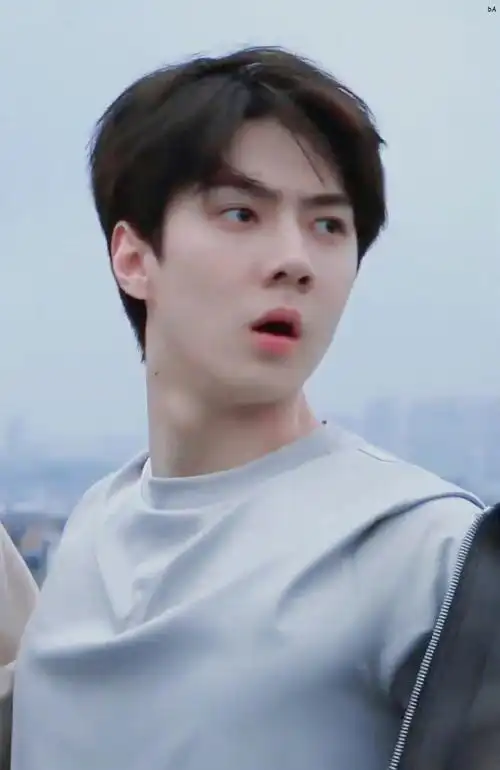 吴世勋超话#吴世勋##勋球漫游记#@wu世勋-exo那年今日| 210122《犯人