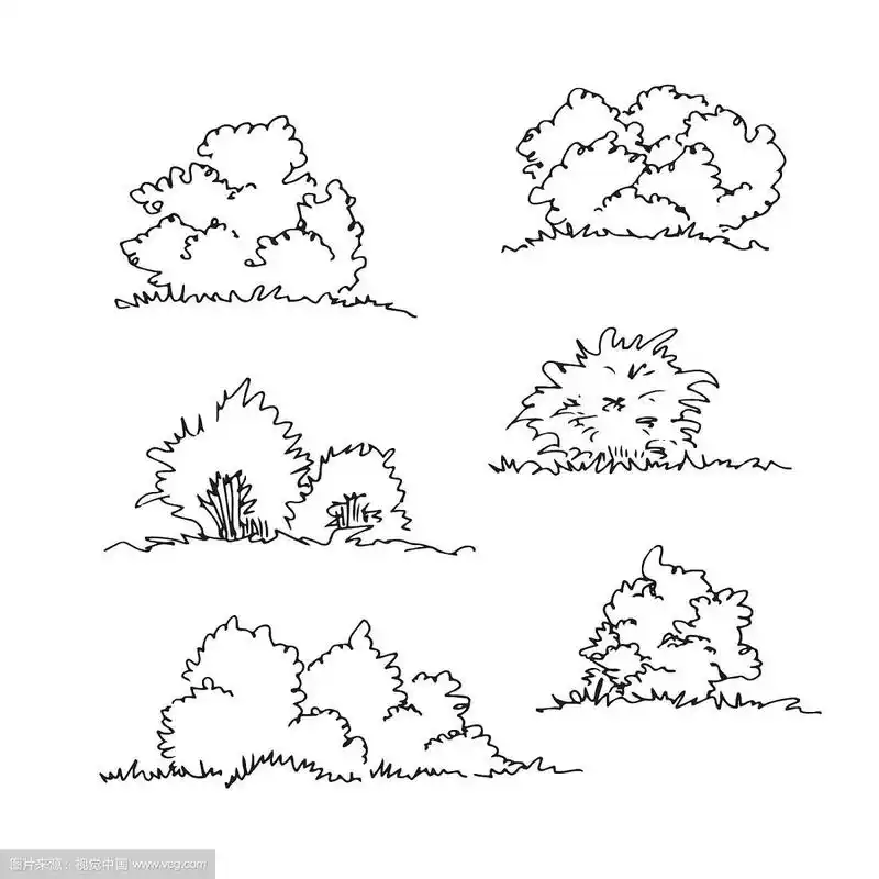 一套手绘建筑师灌木