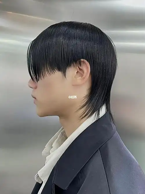 男生时尚狼尾发型