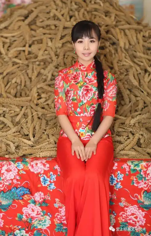 王二妮——黄土地上的百灵鸟 国外演唱会惊艳了世界