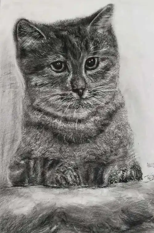 美术优秀作品展区】大一年级创意素描(一)_艺术风采_学生工作_美术