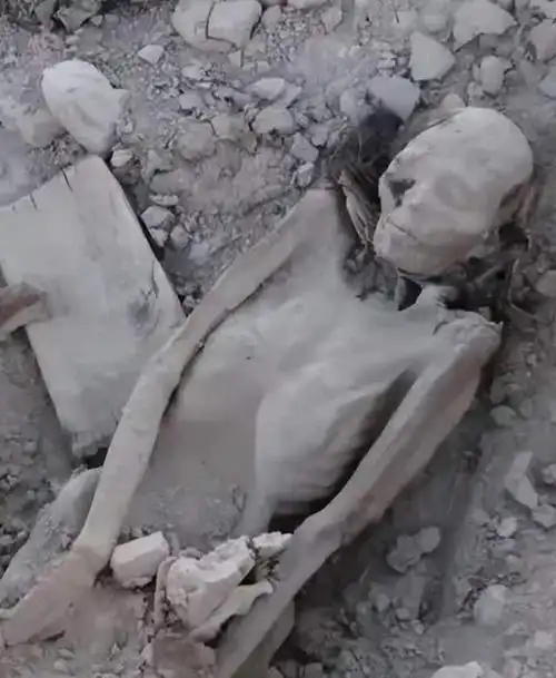 罗布泊惊现干尸,警方破案后大惊:竟是失踪58年的功臣!