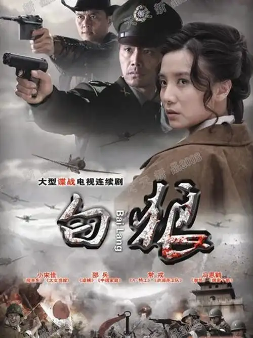 全30集2010白狼0小宋佳演绎传奇女匪导演:苏舟爱情间谍战争类似电视剧