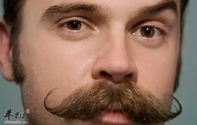 苹果绿 人群养生 男性据科学家发现,不刮胡子的男人比爱刮胡子的男人