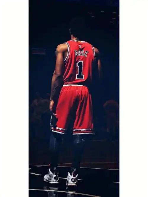 德里克罗斯的壁纸and头像100