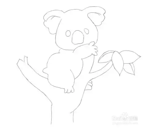 简笔画--爬在树上的考拉画法简笔画--爬在树上的考拉画法考拉简笔画