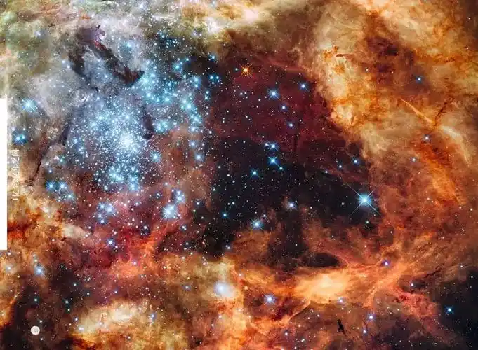 宇宙星辰藏着孩子的格局,真正的起跑线是它