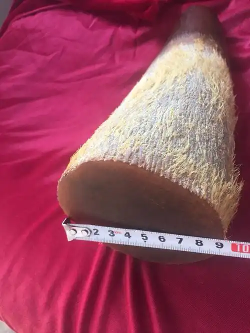 明代苏门答腊犀牛角是不是这样子