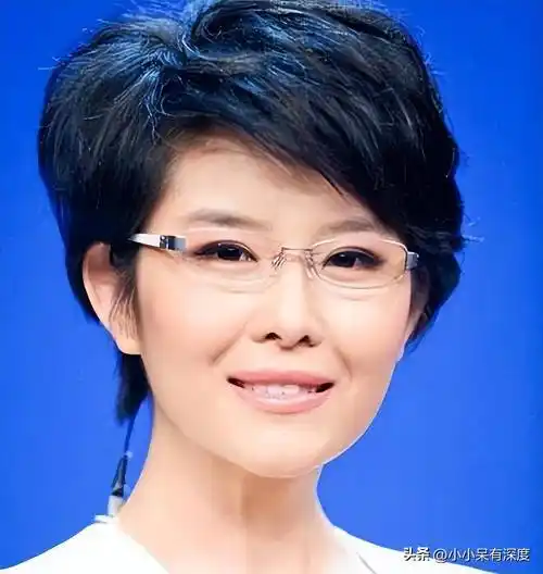 网友:王宁,才是目前央视一姐!_节目_新闻_访谈