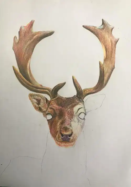 驯鹿|纯艺术|绘画|懒猫仔 - 原创作品 - 站酷 (zcool)