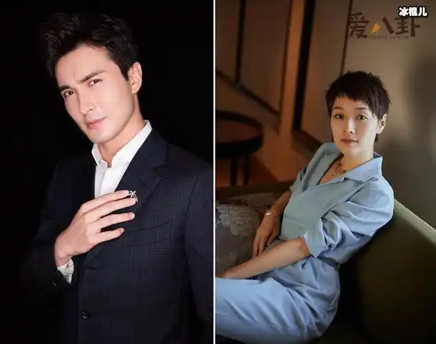 高伟光马伊琍被质疑姐弟恋