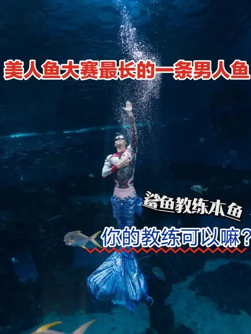 191cm男人鱼美人鱼大赛水下展示