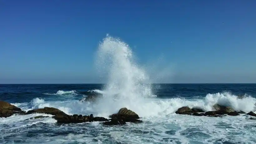 雪白的浪花图片第13张