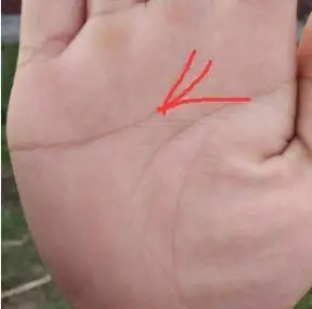 女人富贵命罕见手相凤尾纹,手相课堂:大拇指第一节,若有此纹,婚姻幸福